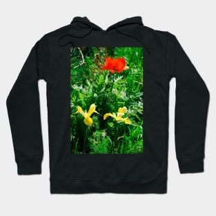 Giant Red Poppy and Irises Hoodie